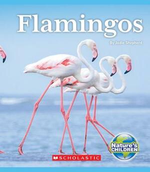 Flamingos (Nature's Children) by Jodie Shepherd