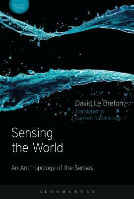 Sensing the World: An Anthropology of the Senses by Carmen Ruschiensky, David Le Breton, David Howes