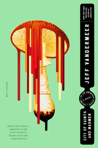 City of Saints and Madmen by Jeff VanderMeer