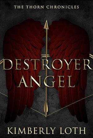 Destroyer Angel by Kimberly Loth