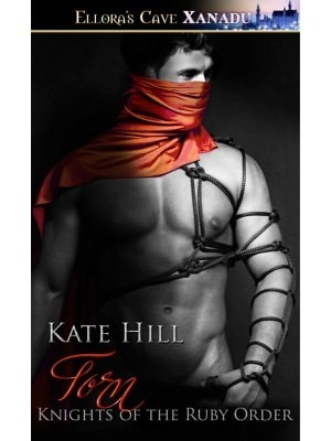 Torn by Kate Hill
