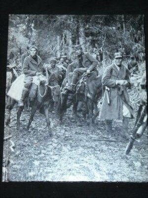 Partisans and Guerillas by Ronald H. Bailey