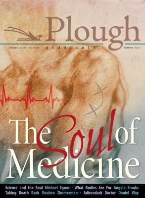 Plough Quarterly No. 17- The Soul of Medicine by John M. Perkins, Stephanie Sadaña, Sarah Williams