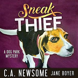 Sneak Thief by C.A. Newsome