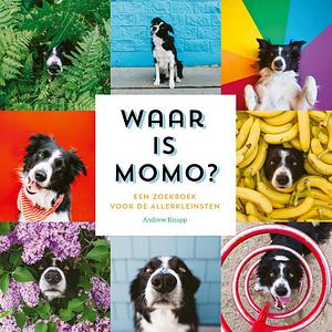 Waar is Momo? by Andrew Knapp