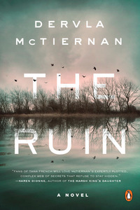 The Ruin by Dervla McTiernan