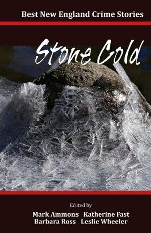 Best New England Crime Stories 2014: Stone Cold by Mark Ammons, Katherine Fast, Ray Daniel, Barbara Ross, Leslie Wheeler