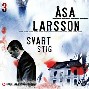 Svart stig by Åsa Larsson, Marlaine Delargy