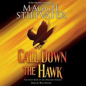 Call Down the Hawk  by Maggie Stiefvater