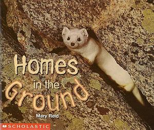 Homes in the Ground by Mary Reid