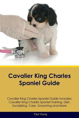 Cavalier King Charles Spaniel Guide Cavalier King Charles Spaniel Guide Includes: Cavalier King Charles Spaniel Training, Diet, Socializing, Care, Gro by Paul Young