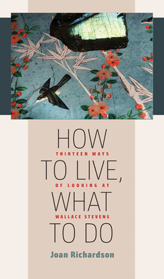 How to Live, What to Do: Thirteen Ways of Looking at Wallace Stevens by Joan Richardson