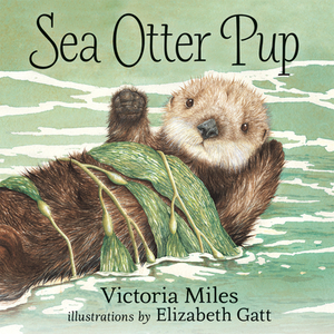 Sea Otter Pup by Victoria Miles