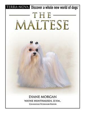 The Maltese [With DVD] by Diane Morgan