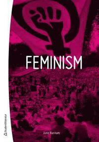 Feminism by June Hannam