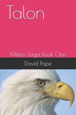Talon: Mitten Saga Book One by David Pope