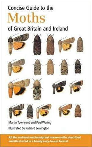 Concise Guide to the Moths of Great Britain and Ireland by Paul Waring, Martin Townsend