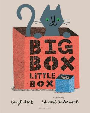 Big Box Little Box by Caryl Hart