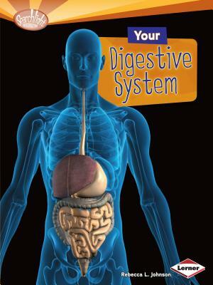 Your Digestive System by Rebecca L. Johnson
