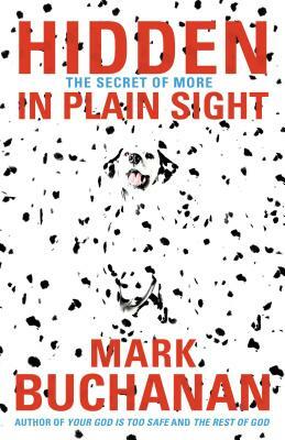 Hidden in Plain Sight: The Secret of More by Mark Buchanan