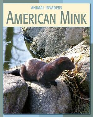 American Mink by Susan H. Gray