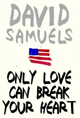 Only Love Can Break Your Heart by David Samuels