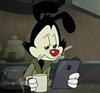 the_incredible_sulk's profile picture
