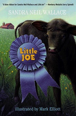 Little Joe by Sandra Neil Wallace