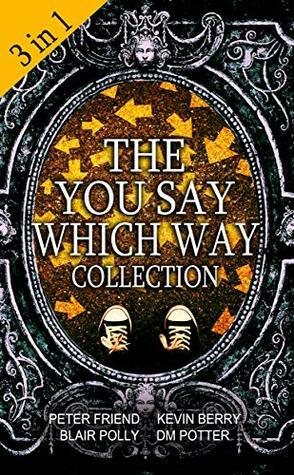 Box Set: The You Say Which Way Collection: Dungeon of Doom, Secrets of the Singing Cave, Movie Mystery Madness by DM Potter, Kevin Berry, Blair Polly, Peter Friend