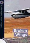 Broken Wings by James Roy