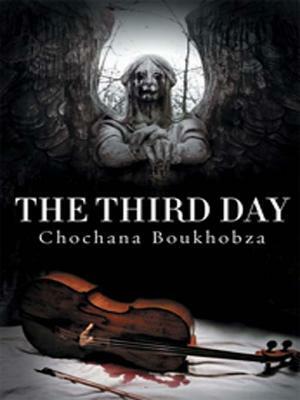 The Third Day by Alison Anderson, Chochana Boukhobza
