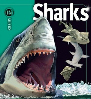 Sharks by John a. Musick, Beverly McMillan