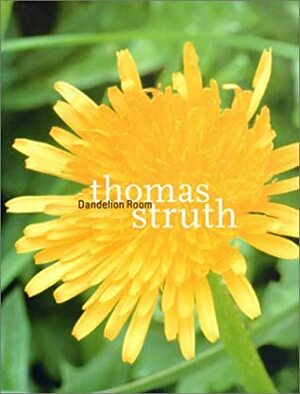 Thomas Struth: The Dandelion Room by Thomas Struth