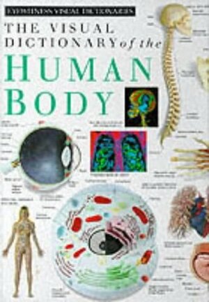 The Visual Dictionary Of The Human Body by Geoff Dann, Peter K. Chadwick, Dave King, Mary Lindsay