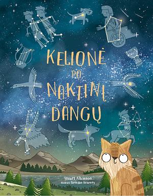 Kelionė po naktinį dangų by Stuart Atkinson