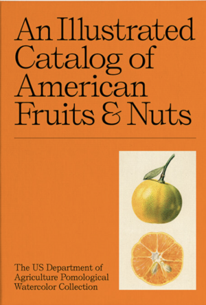 An Illustrated Catalog of American Fruits & Nuts: The U.S. Department of Agriculture Pomological Watercolor Collection by Marina Vitaglione