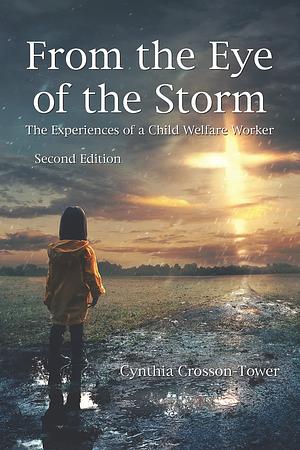 From the Eye of the Storm: The Experiences of a Child Welfare Worker by Cynthia Crosson-Tower