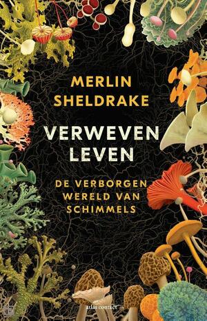 Verweven leven: De verborgen wereld van schimmels by Merlin Sheldrake