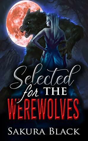 Selected for the Werewolves: A Spicy Monster Romance by Sakura Black