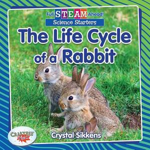 The Life Cycle of a Rabbit by Crystal Sikkens