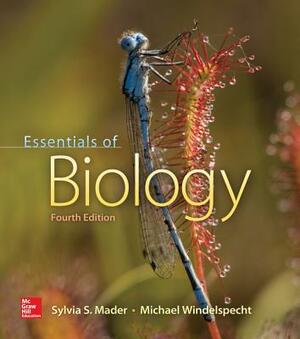 Essentials of Biology, Gen Cmb; Cnct+ [With Access Code] by Michael Windelspecht, Sylvia S. Mader