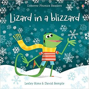 Lizard in a Blizzard by Lesley Sims