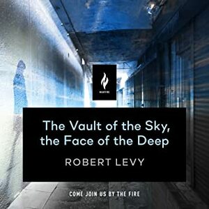 The Vault of the Sky, the Face of the Deep by Saskia Maarleveld, Robert Levy