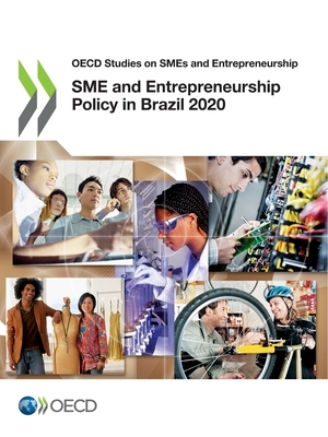 OECD Studies on Smes and Entrepreneurship Sme and Entrepreneurship Policy in Brazil 2020 by Oecd