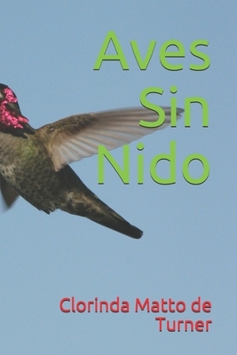 Aves Sin Nido by Clorinda Matto de Turner