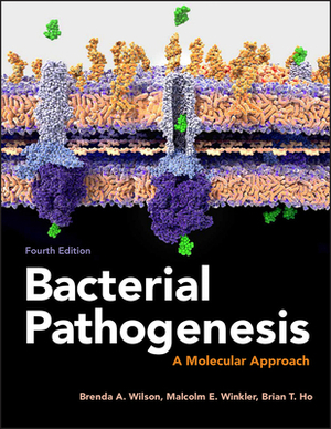 Bacterial Pathogenesis: A Molecular Approach by Brian T. Ho, Brenda A. Wilson, Malcolm Winkler