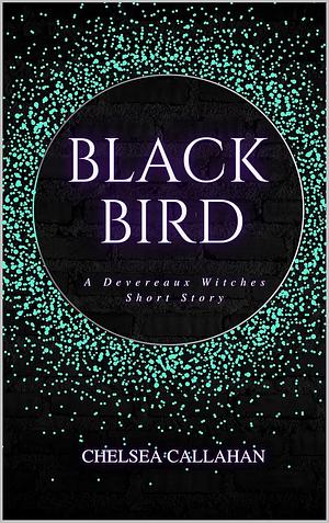 Black Bird by Chelsea Callahan