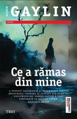 Ce a ramas din mine by Alison Gaylin