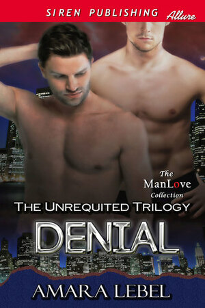 Denial by Amara Lebel