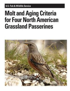 Molt and Aging Criteria for Four North American Grassland Passerines by Stephanie L. Jones, Janet M. Ruth